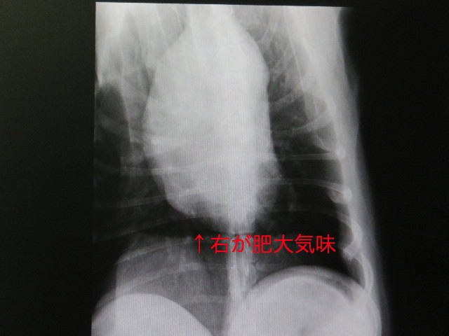 ファイル 5240-1.jpg