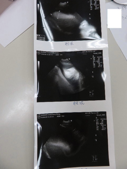 ファイル 5240-4.jpg