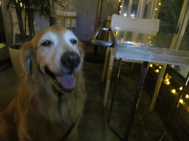 ファイル 5242-2.jpg