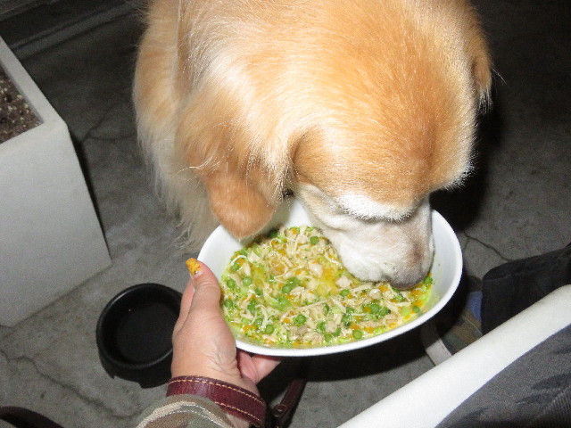 ファイル 5242-4.jpg