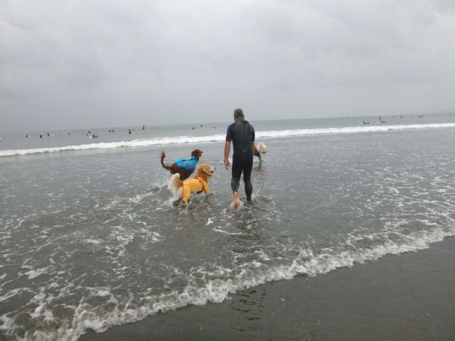 ファイル 5244-1.jpg