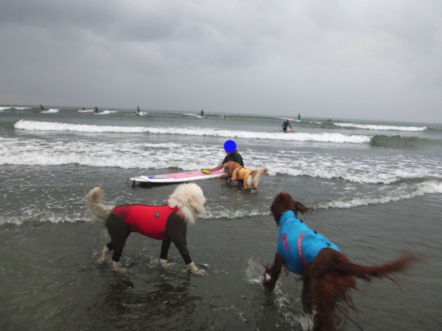 ファイル 5244-2.jpg