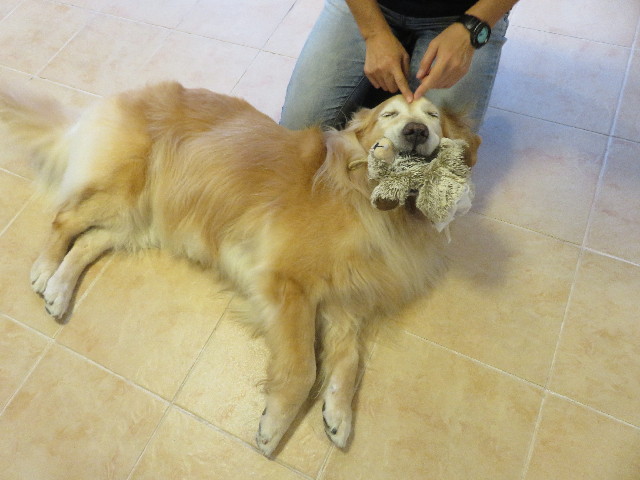 ファイル 5252-2.jpg