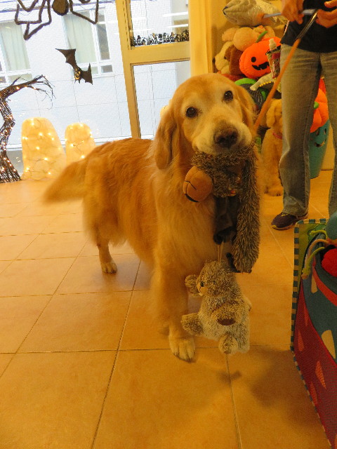 ファイル 5252-3.jpg