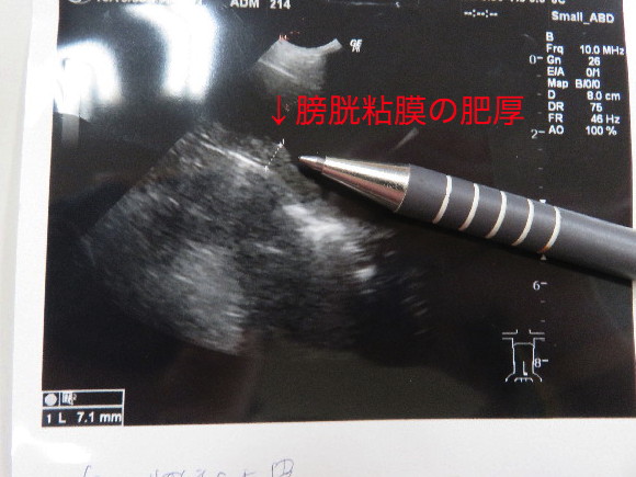 ファイル 5253-4.jpg