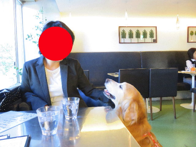 ファイル 5255-2.jpg