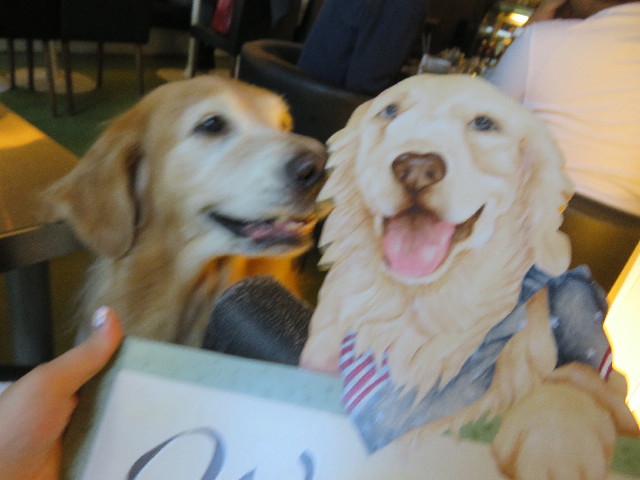 ファイル 5255-3.jpg