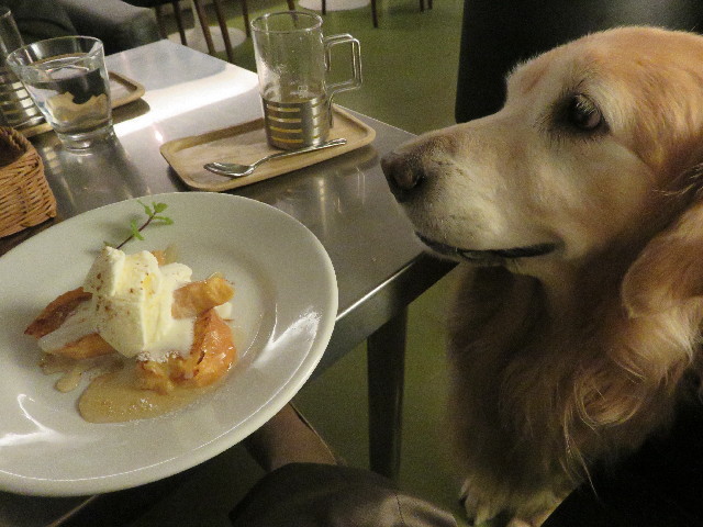 ファイル 5255-4.jpg