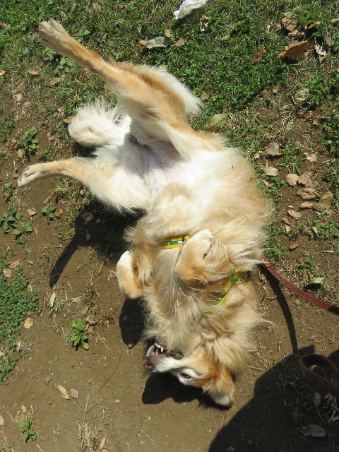 ファイル 5258-4.jpg