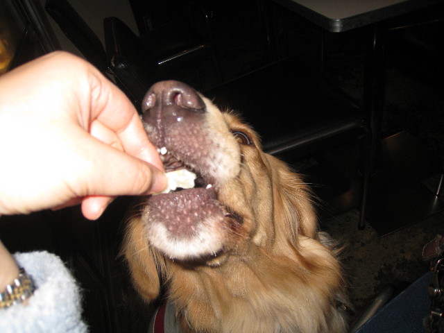 ファイル 526-2.jpg