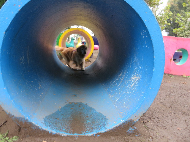 ファイル 5261-1.jpg