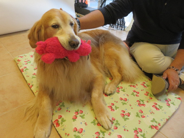 ファイル 5261-3.jpg