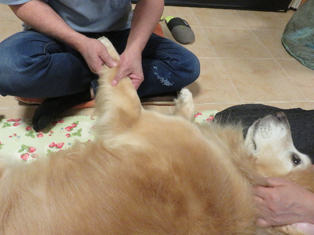 ファイル 5261-4.jpg