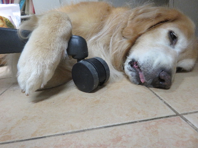 ファイル 5261-5.jpg