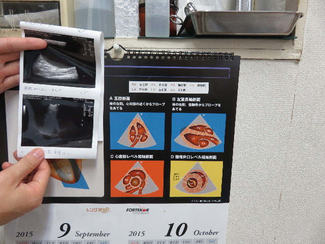 ファイル 5263-4.jpg