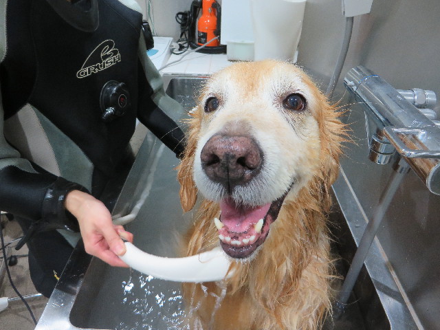 ファイル 5265-4.jpg