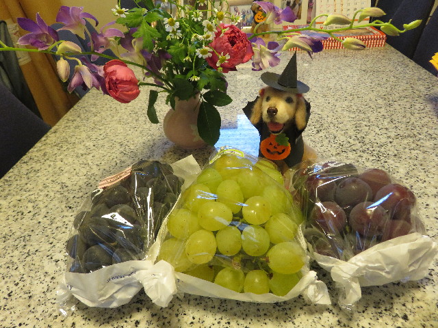 ファイル 5266-3.jpg