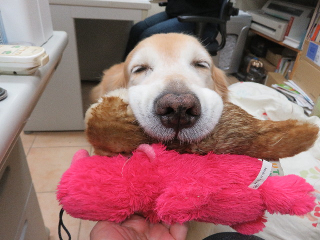 ファイル 5266-4.jpg