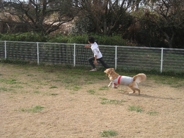 ファイル 527-1.jpg