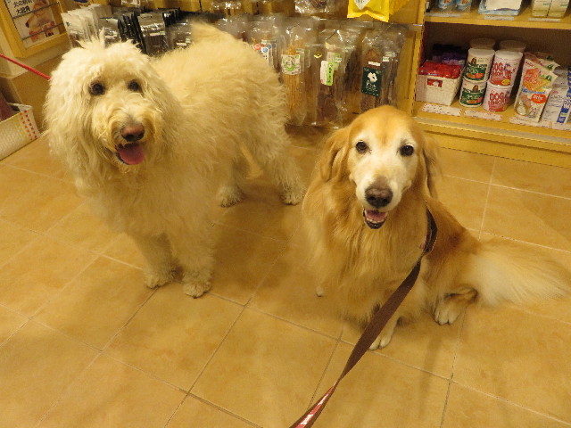 ファイル 5273-1.jpg