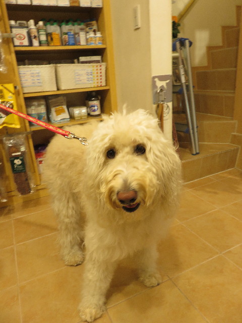 ファイル 5273-5.jpg