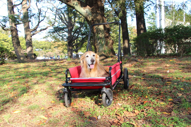 ファイル 5274-2.jpg