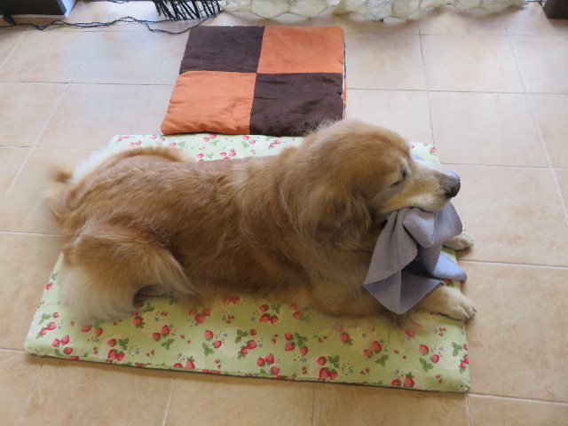 ファイル 5274-4.jpg