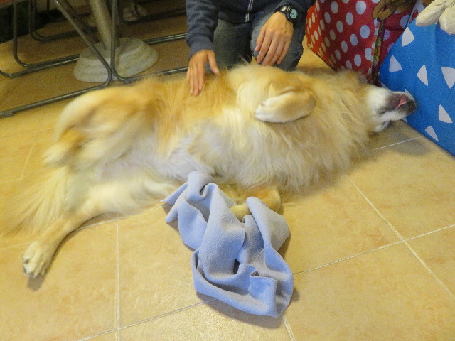 ファイル 5274-5.jpg