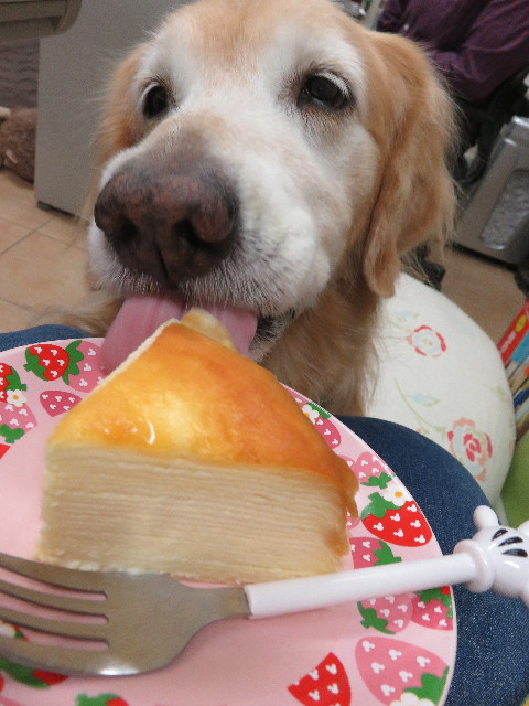 ファイル 5279-2.jpg