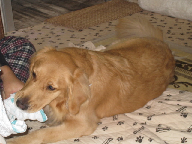 ファイル 528-4.jpg