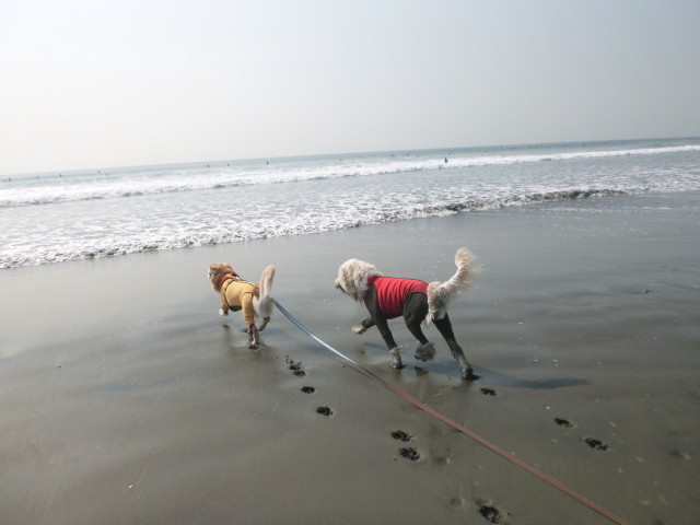 ファイル 5281-1.jpg