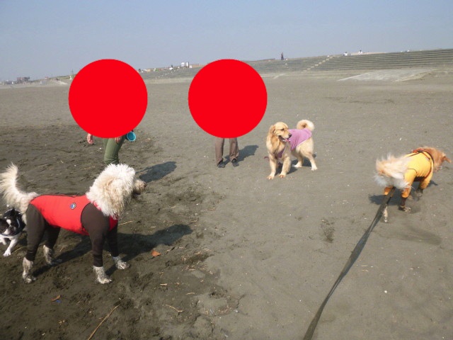 ファイル 5281-3.jpg