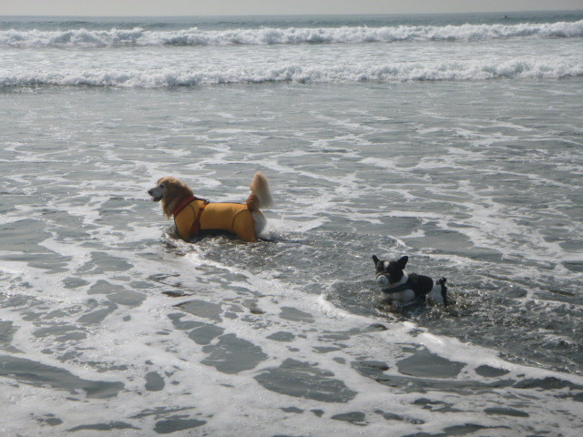 ファイル 5281-4.jpg