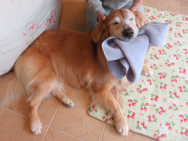 ファイル 5283-2.jpg