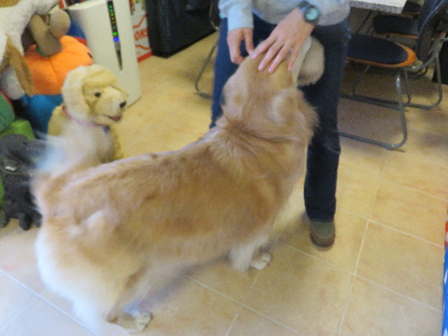 ファイル 5285-3.jpg