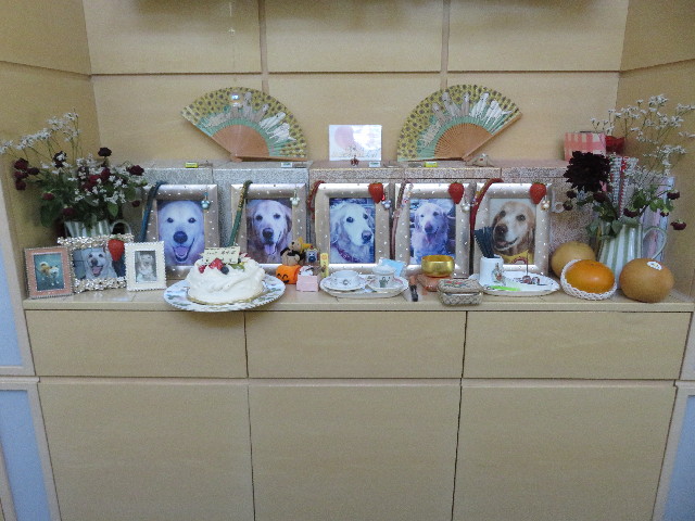 ファイル 5286-1.jpg