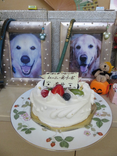 ファイル 5286-2.jpg