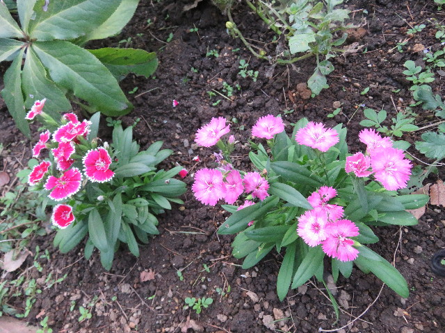 ファイル 5287-3.jpg