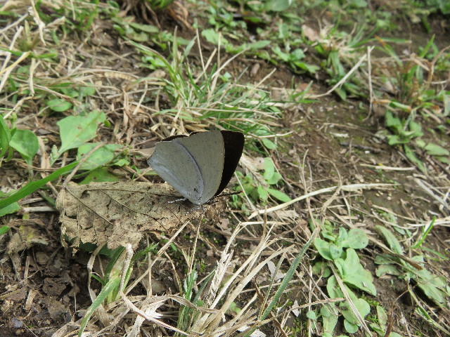 ファイル 5288-3.jpg