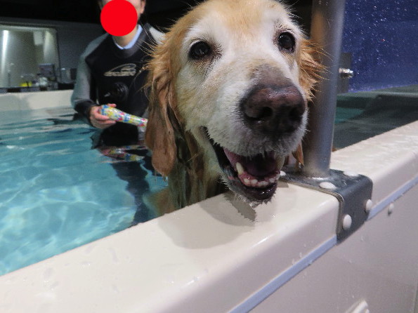 ファイル 5289-3.jpg