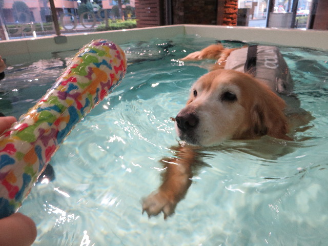 ファイル 5289-4.jpg