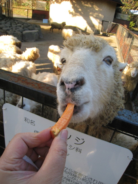 ファイル 529-4.jpg