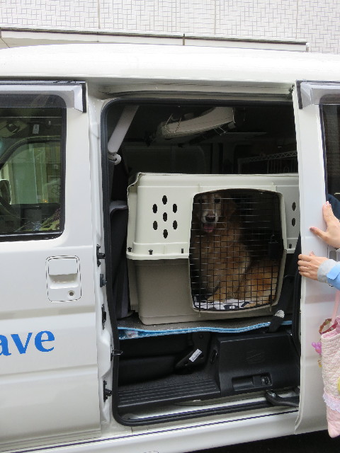 ファイル 5290-5.jpg