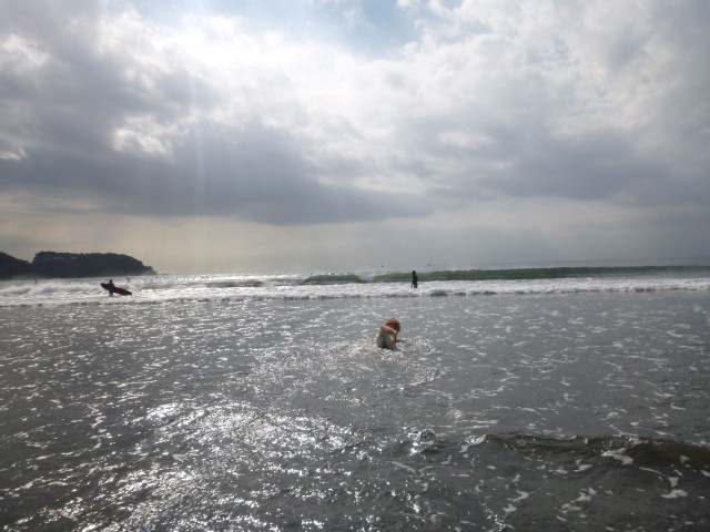 ファイル 5291-2.jpg