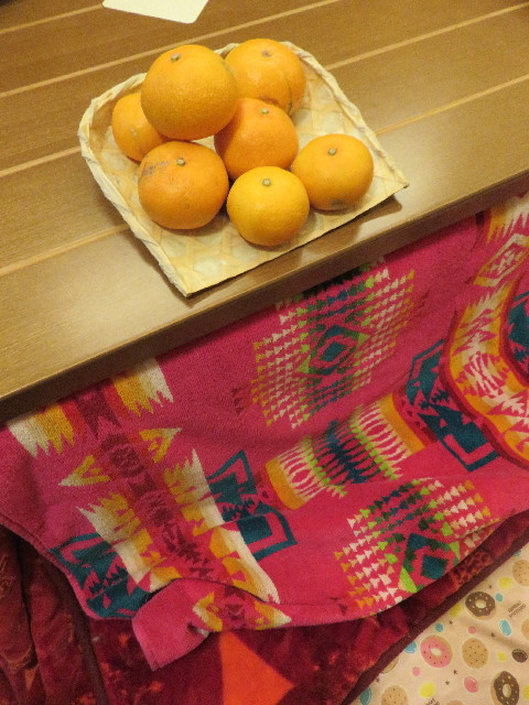 ファイル 5292-3.jpg