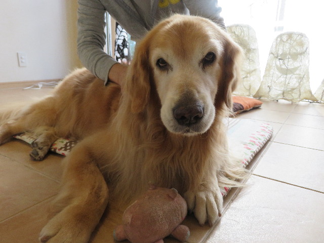 ファイル 5292-5.jpg