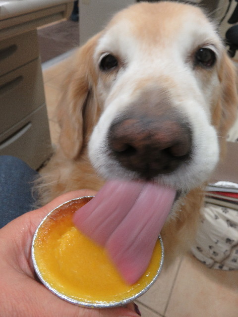 ファイル 5296-3.jpg