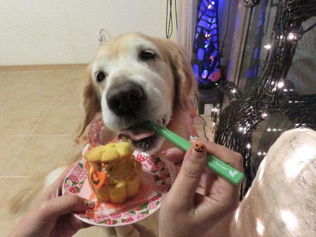 ファイル 5296-5.jpg