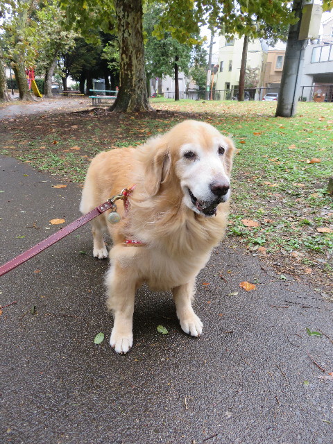 ファイル 5299-5.jpg