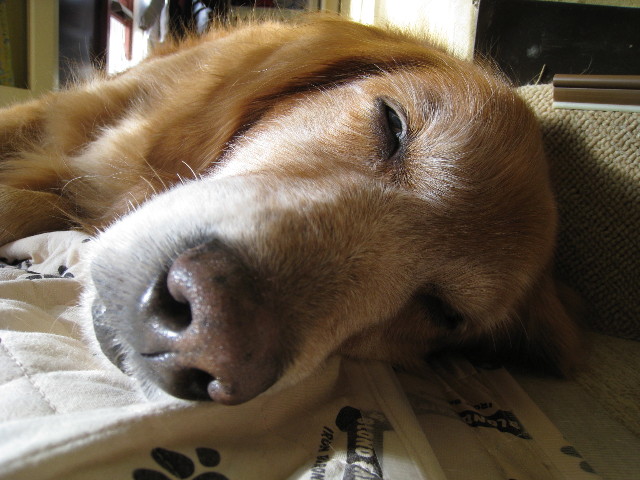 ファイル 530-1.jpg